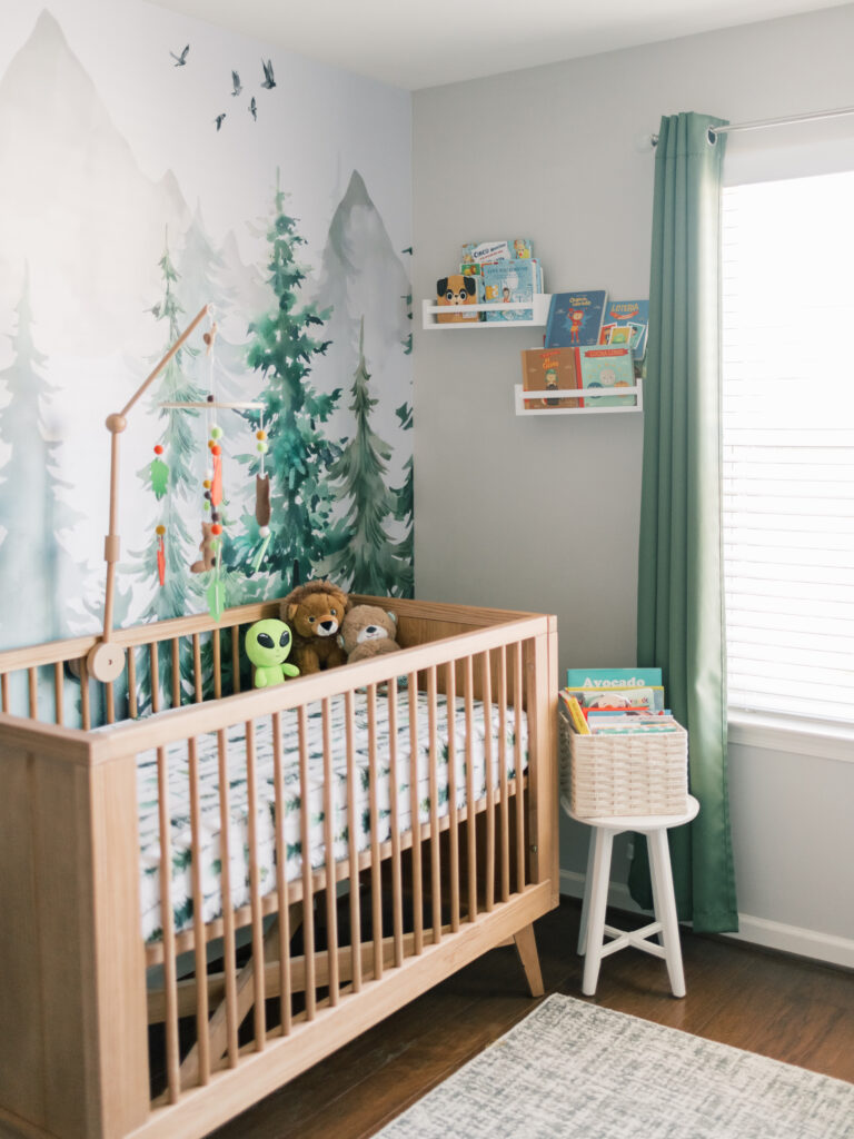 A newborn baby boys nursery located in Fredericksburg Virginia